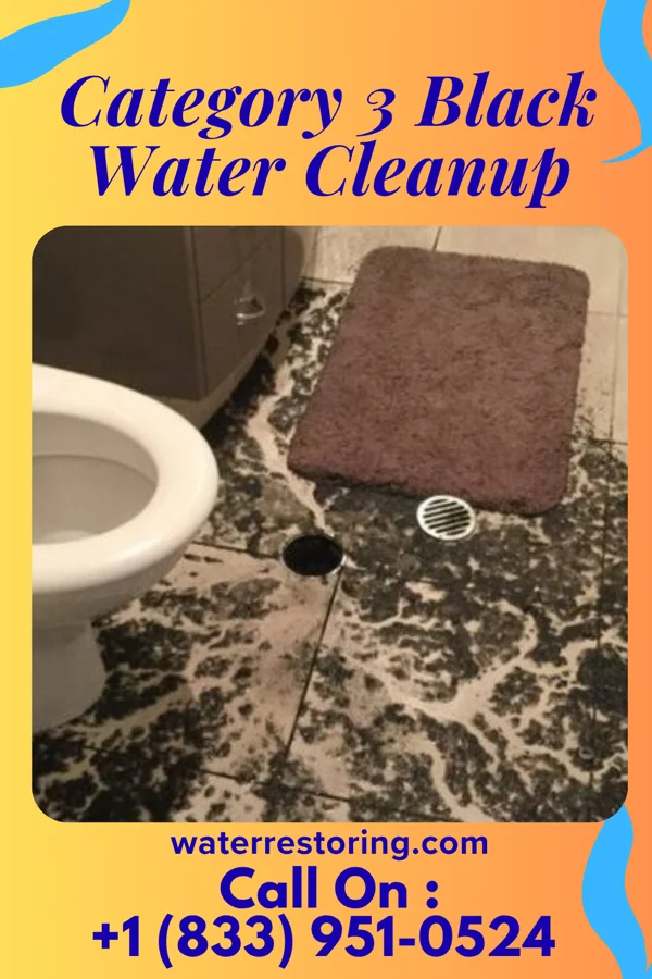Category 3 Black Water Cleanup in Frontier, ND