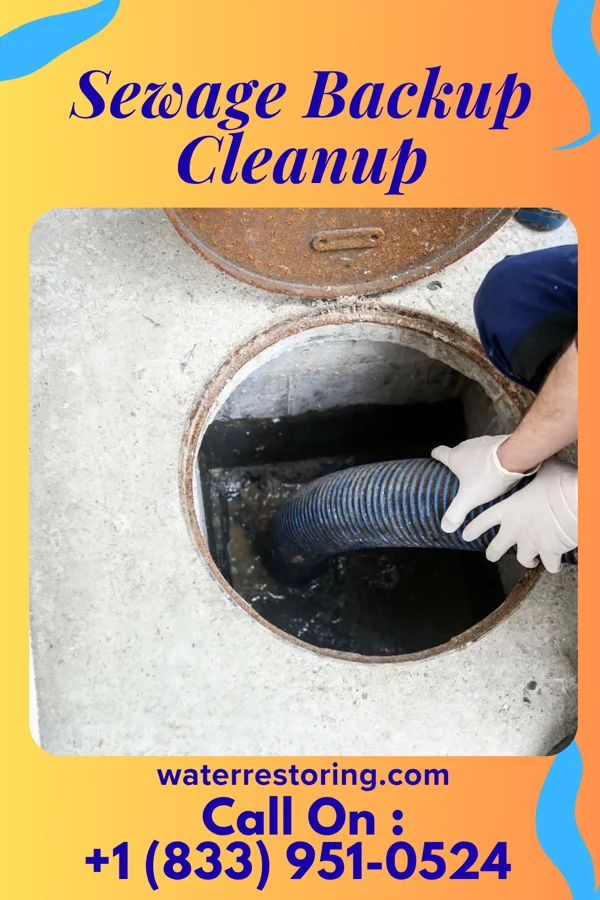 Sewage Backup Cleanup in Frontier, ND