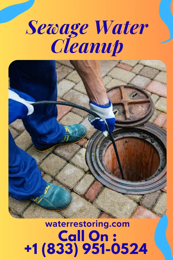 Sewage Water Cleanup in Frontier, ND